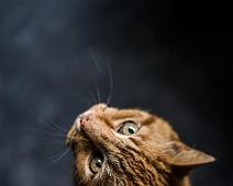 alexander-andrews Photo by Alexander Andrews on Unsplash