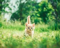 andriyko-podilnyk Photo by Andriyko Podilnyk on Unsplash