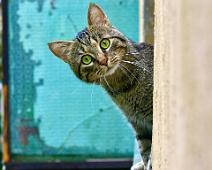 bogdan-farca Photo by Bogdan Farca on Unsplash