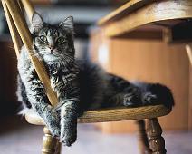 kari-shea Photo by Kari Shea on Unsplash