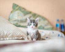 kote-puerto Photo by Kote Puerto on Unsplash