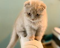 rene-peters Photo by René Peters on Unsplash