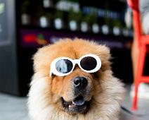 alan-king Photo by Alan King on Unsplash