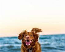 oscar-sutton Photo by Oscar Sutton on Unsplash