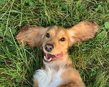 ralu-gal Photo by Ralu Gal on Unsplash