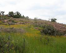 EnchantedRock036