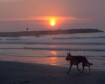 Playing_On_Beach_Sunrise Playing on the beach at sunrise